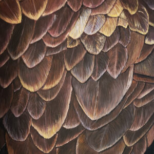 Eagle feathers painted in gouache with gold detailing