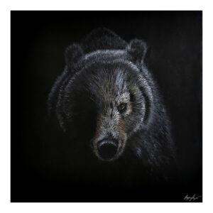 Shadow Bear 6x6
