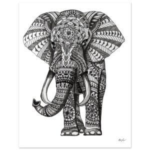 2e744b05-3ab3-41b9-833b-f4878cf1fba9