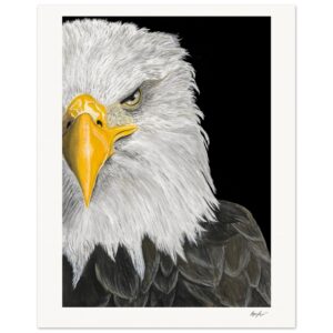 40385be3-89b5-4178-9418-e88d27215ece