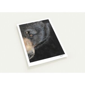 d9681ea8-0d05-4411-b9bf-f77c5aa04d44