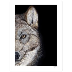 ece45769-7dab-4042-8822-e313bdd573d9